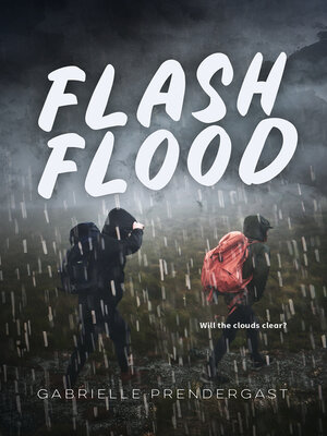 cover image of Flash Flood